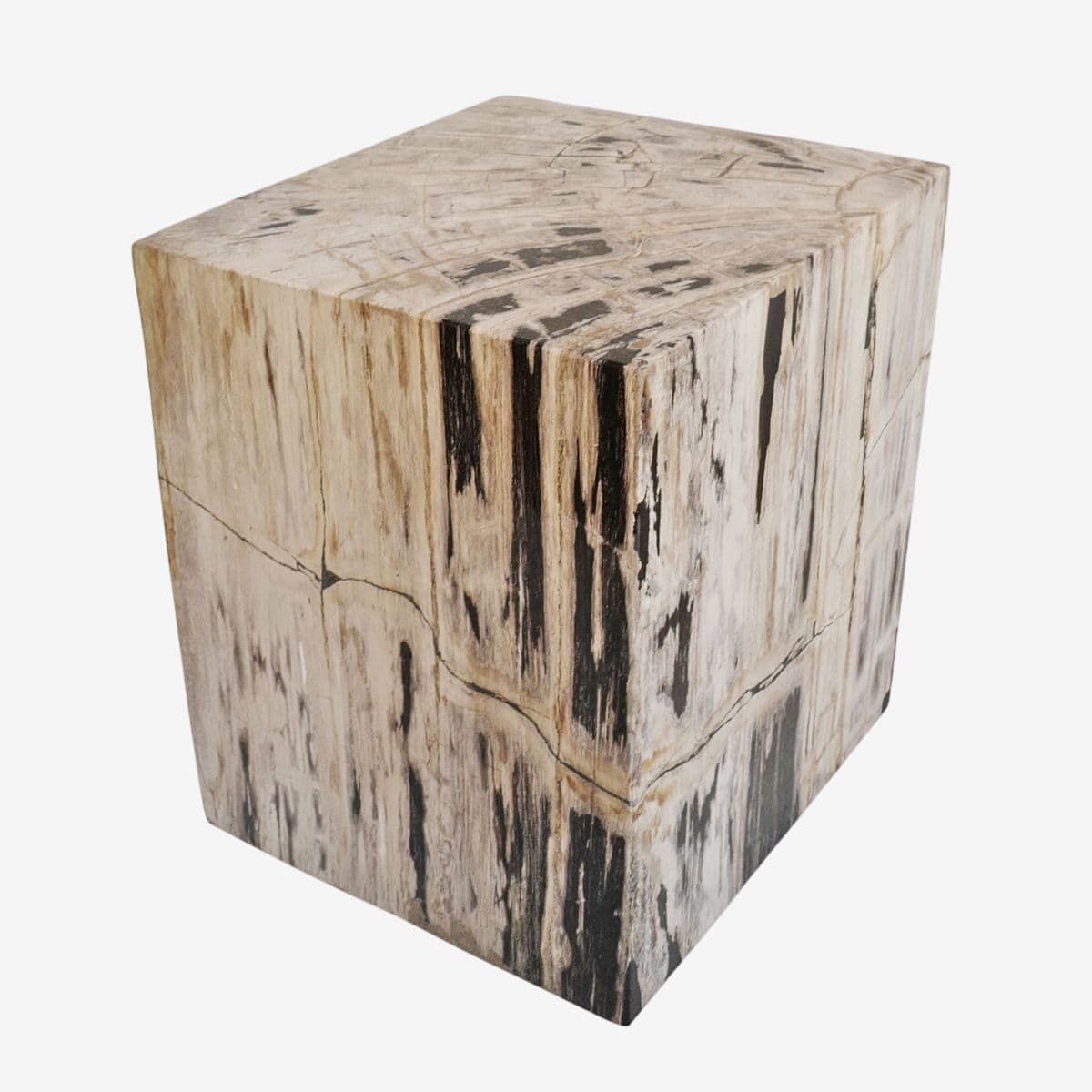 Square Petrified Wood Stump Table - Image 1