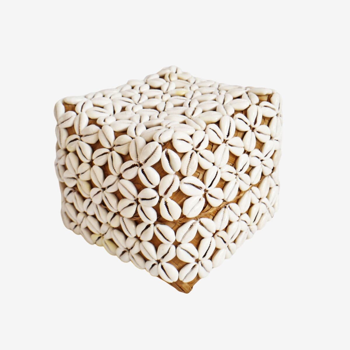 Cowry Shell Box Medium - Image 1