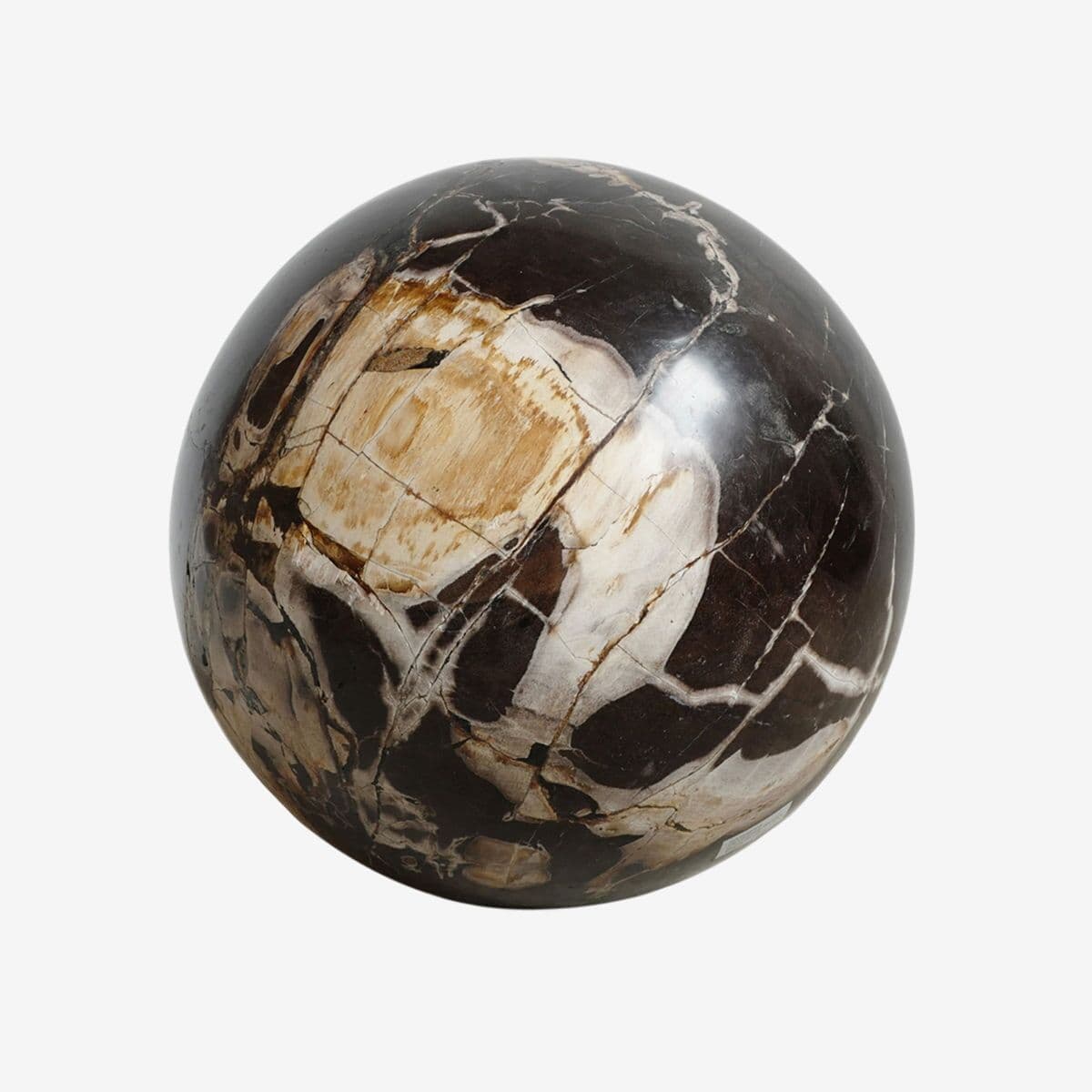 Large Petrified Wood Sphere - Image 1