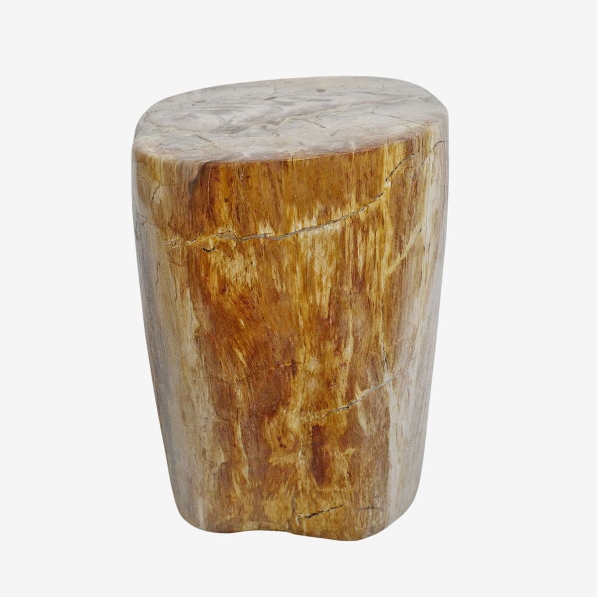 Petrified Stump Stool Table - Image 1