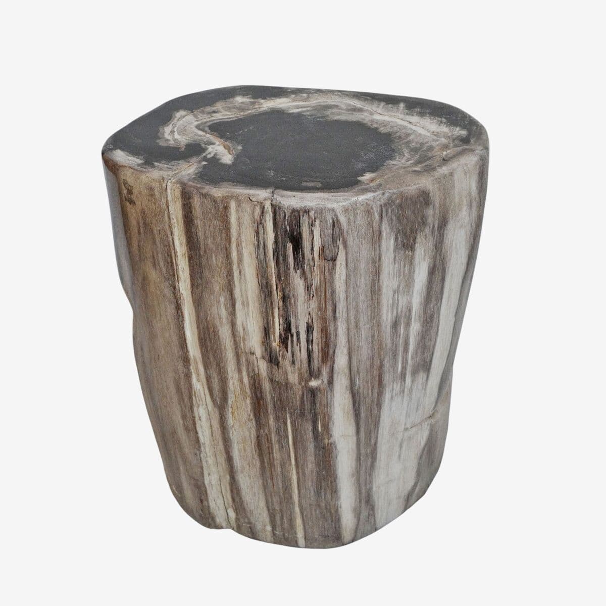 Petrified Stump Stool - Image 1