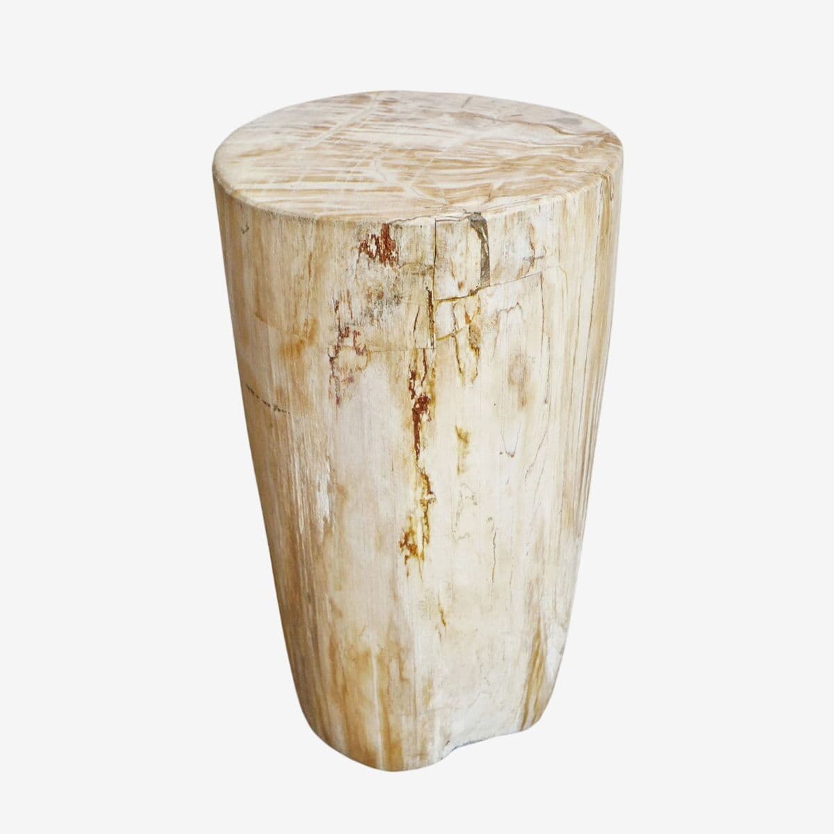 Petrified Wood Stump Stool - Image 1