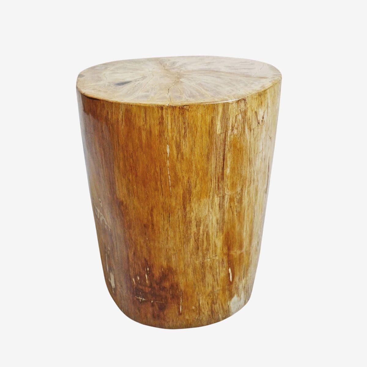 Petrified Stump Side Table - Image 1