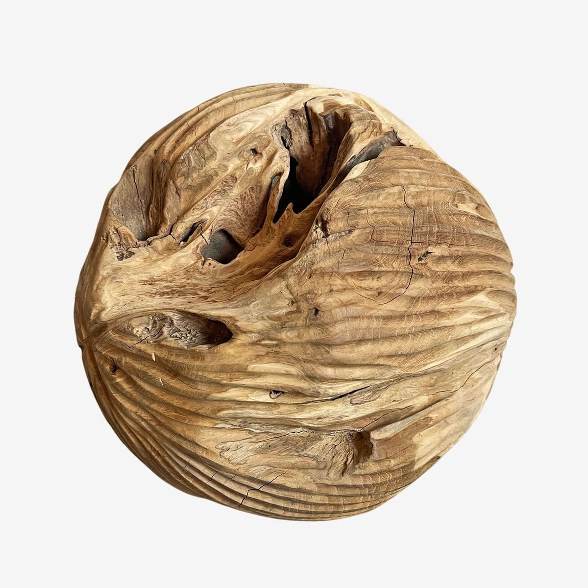 Teak Root Ball Art - Image 1