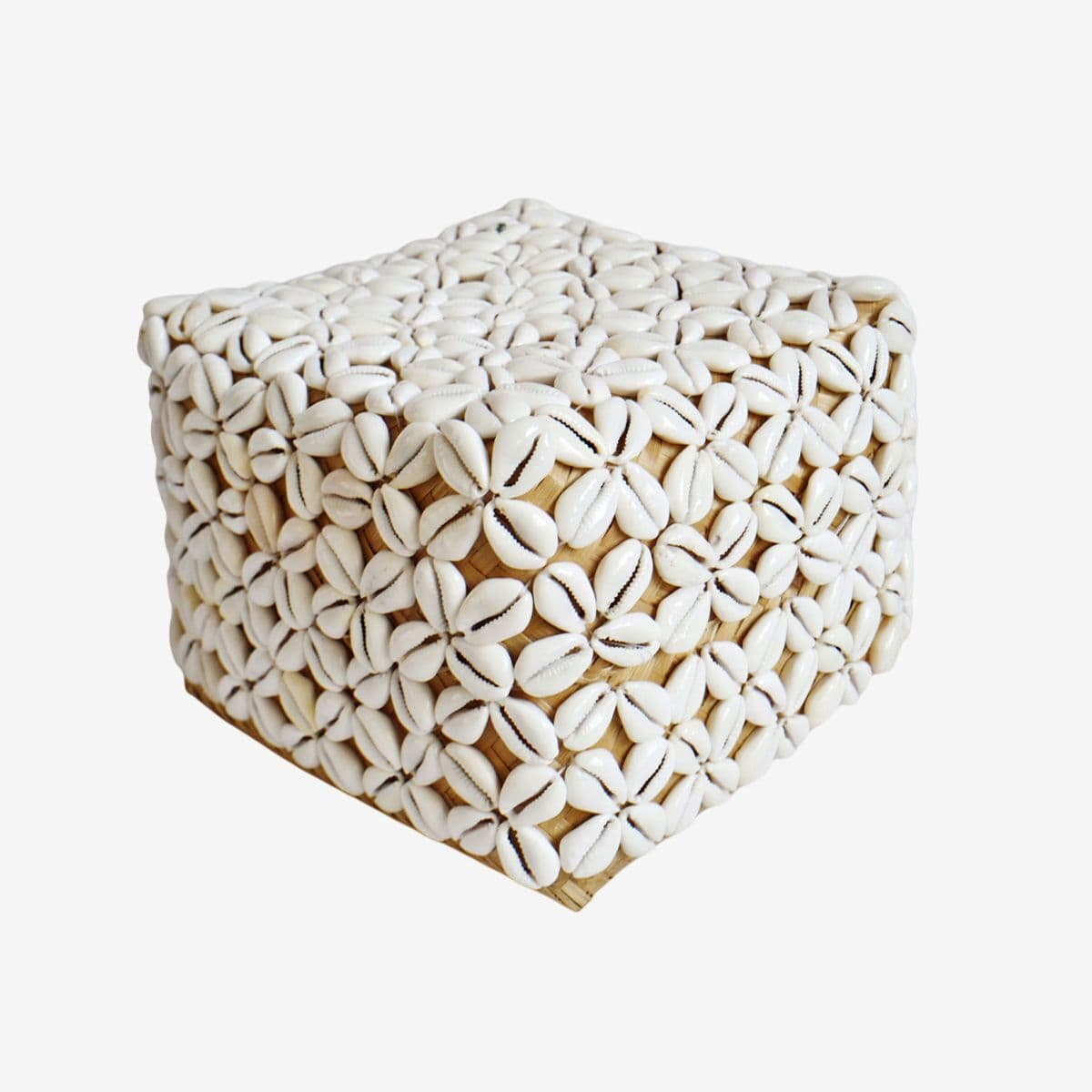 Cowry Shell Box Large - Image 1