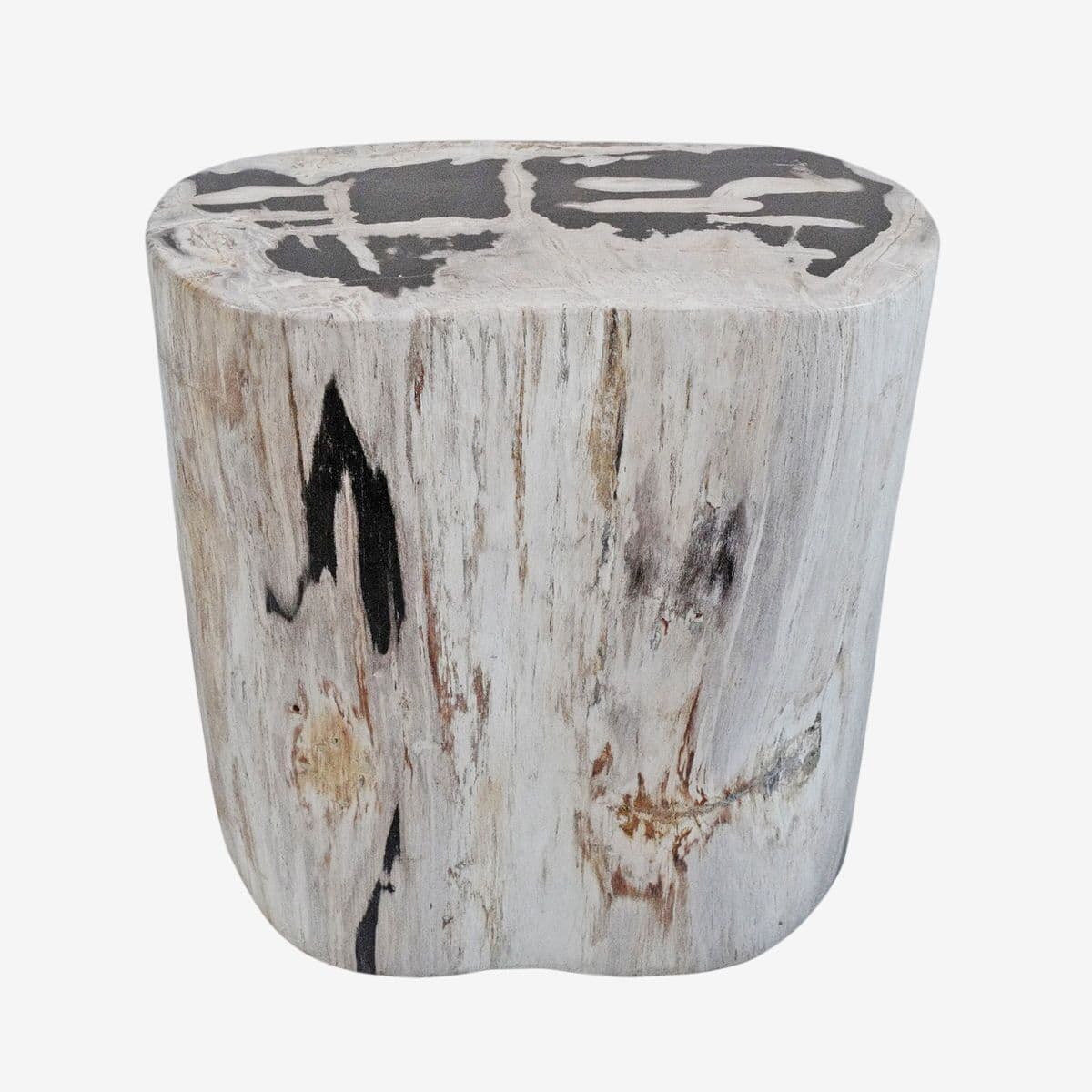 Petrified Wood Stump Stool Table - Image 1
