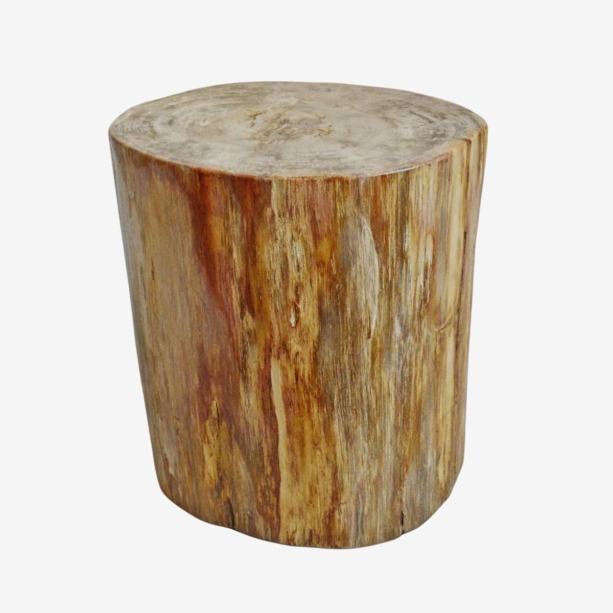 Petrified Stump Side Table / Stool - Image 1