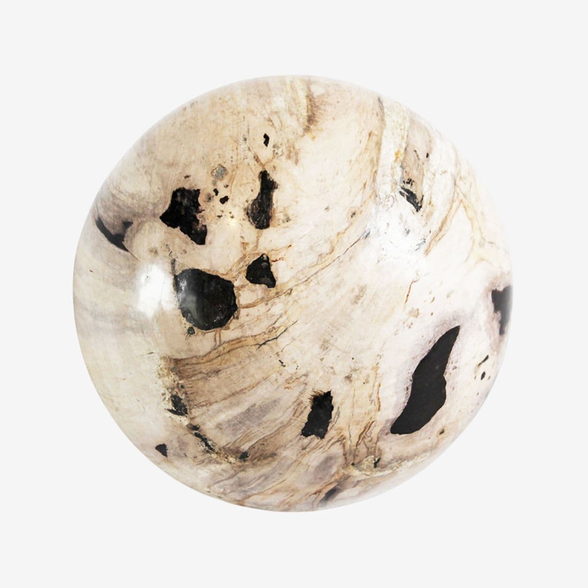 Petrified Wood Sphere Art - Image 1