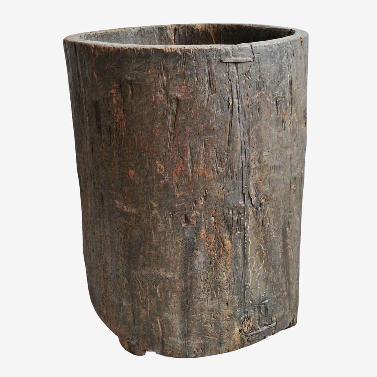 Giant Old Naga Wood Trunk Container Pot - Image 1