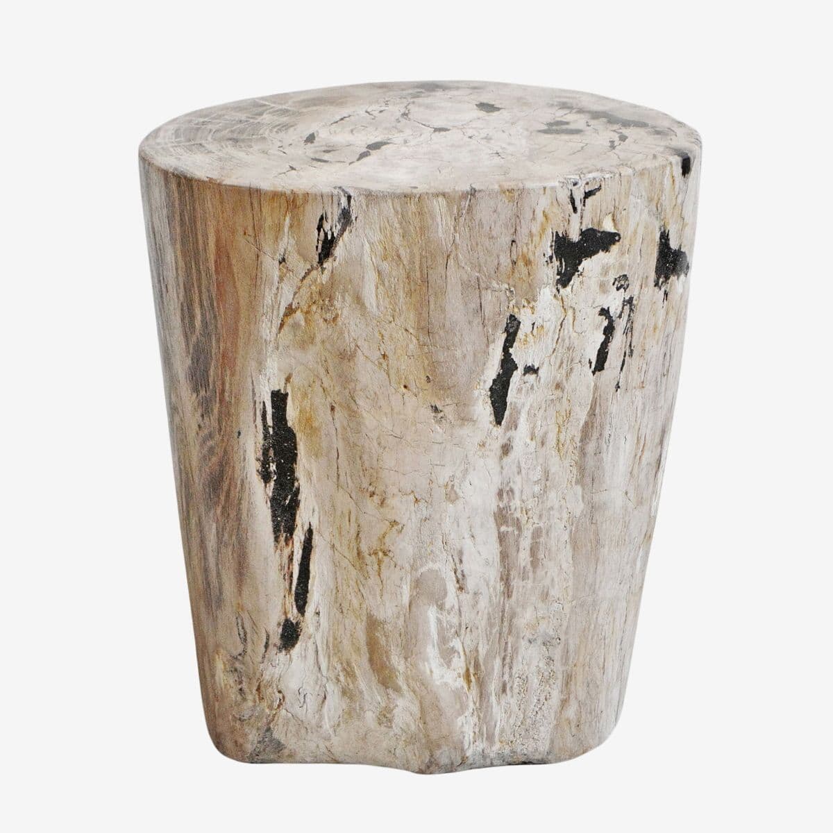 Petrified Wood Stump Stool - Image 1