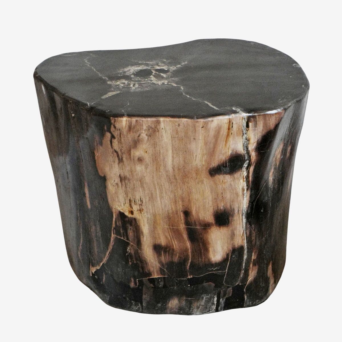 Petrified Wood Stump Stool - Image 1