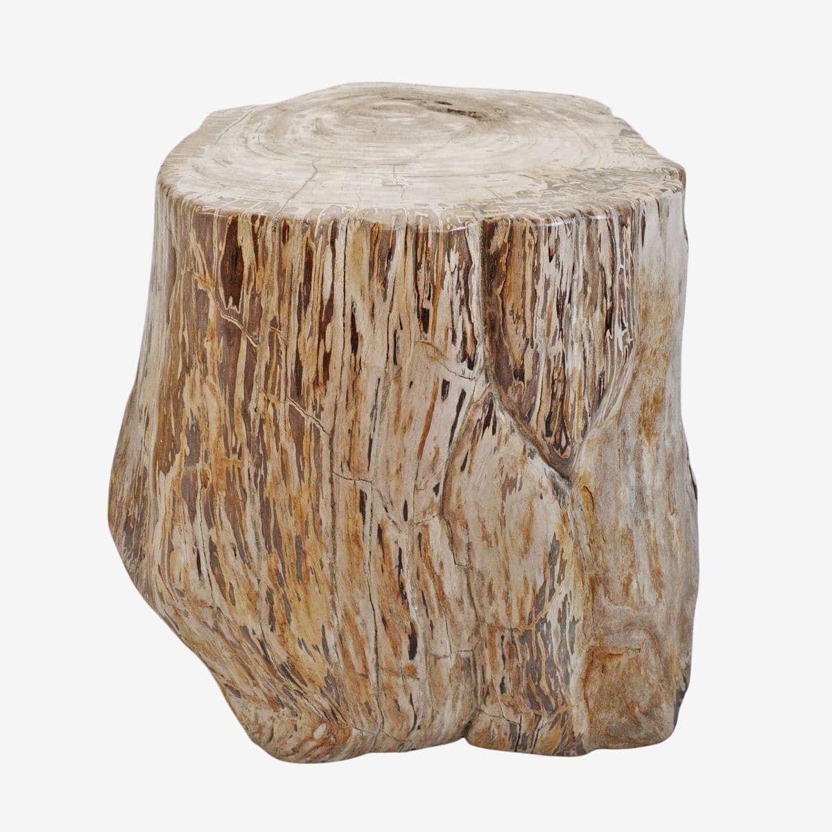 Petrified Wood Stump Stool Table - Image 1