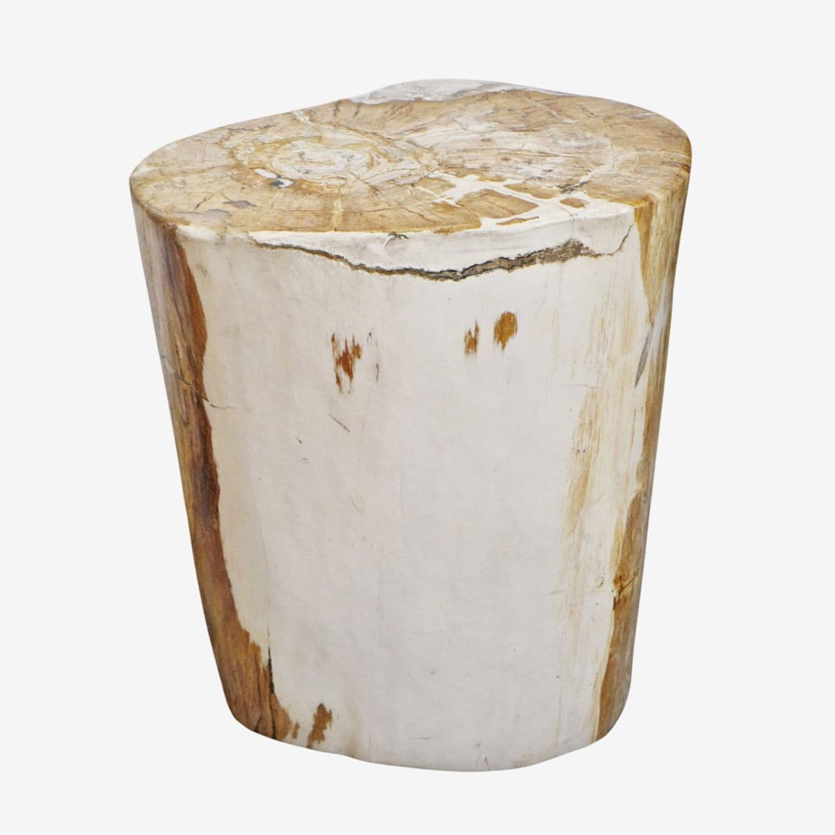 Petrified Wood Stump Stool - Image 1