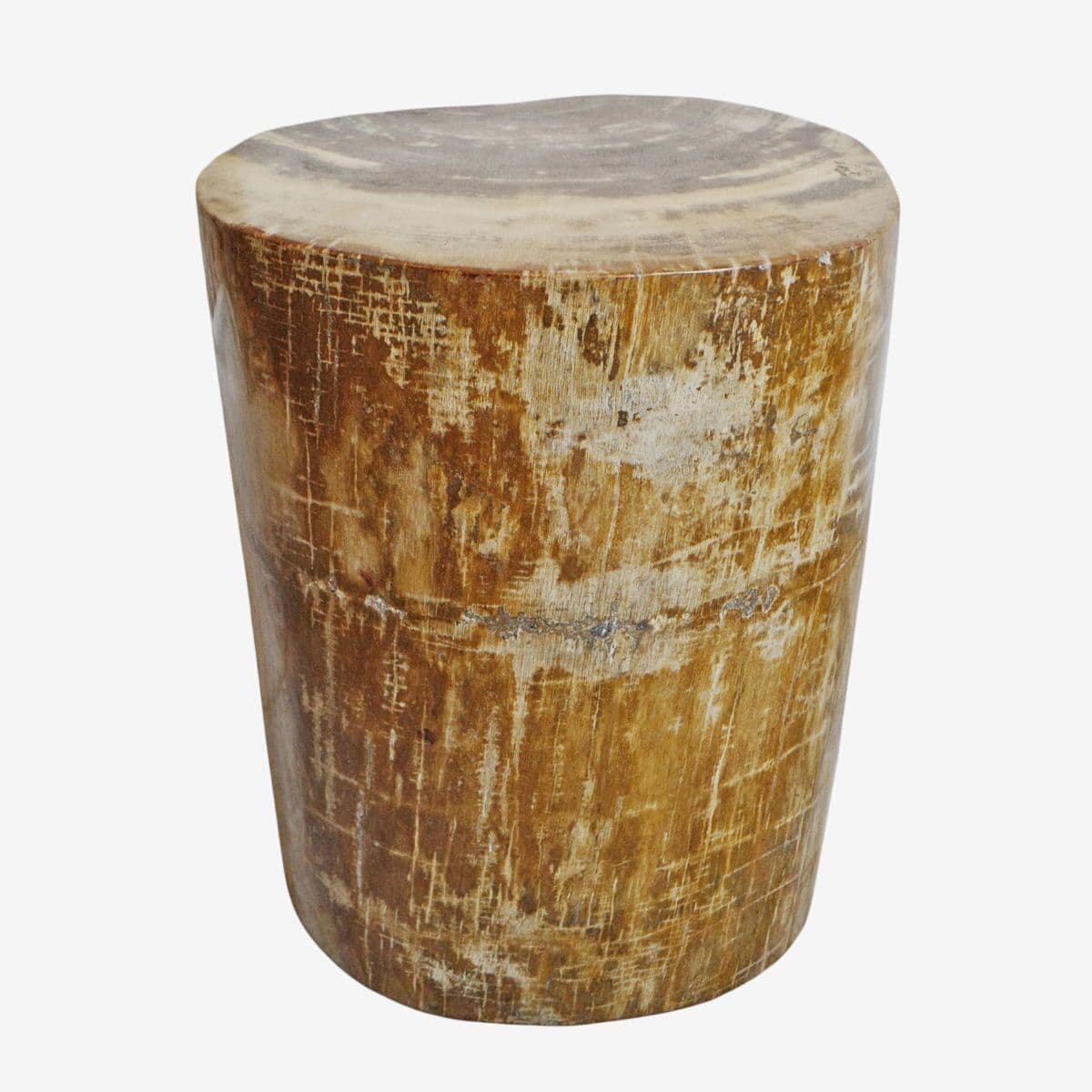 Petrified Wood Stump Stool - Image 1