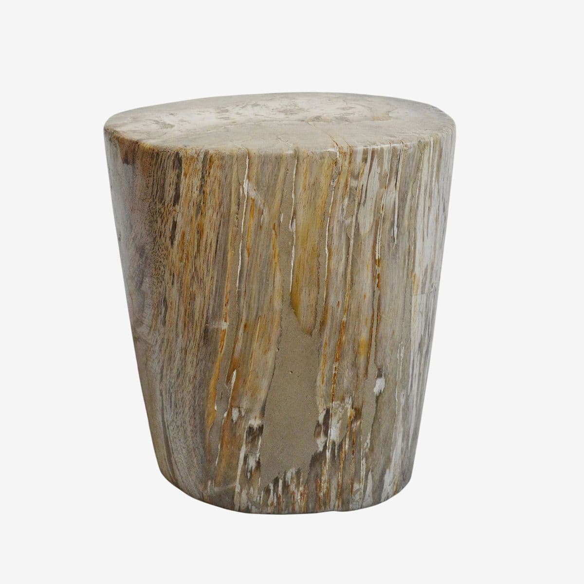 Petrified Stump Side Table - Image 1