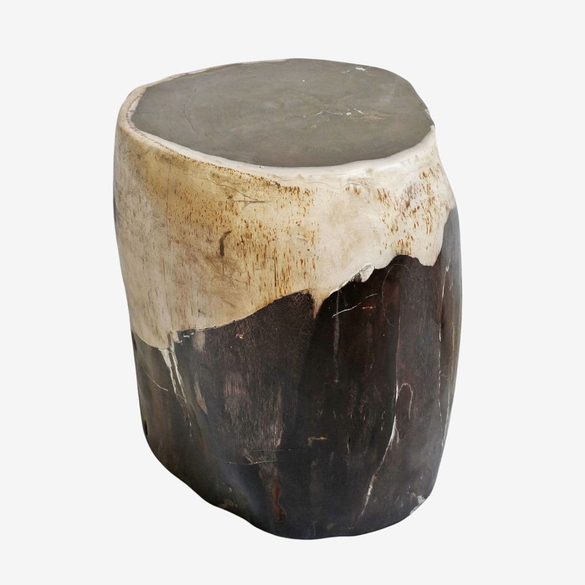 Petrified Wood Stump Stool Table - Image 1