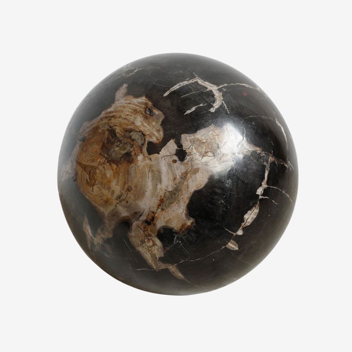 Large Petrified Wood Sphere - Image 1