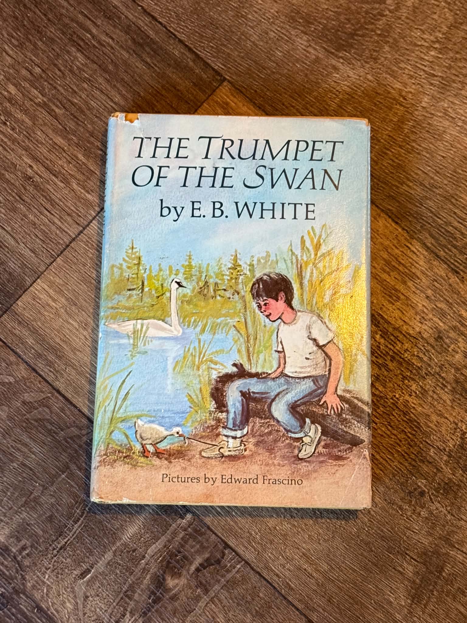 The Trumpet of the Swan - Image 1