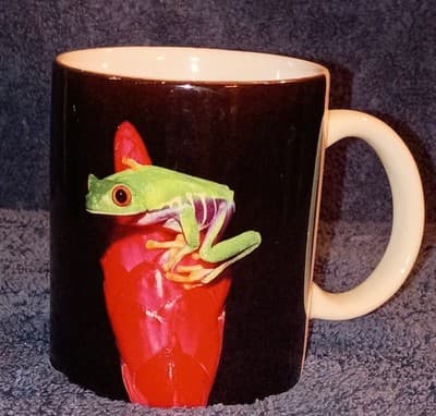 National Wildlife Federation Red-Eyed Tree Frog Ceramic Coffee Mug 1993 Vintage - Image 1