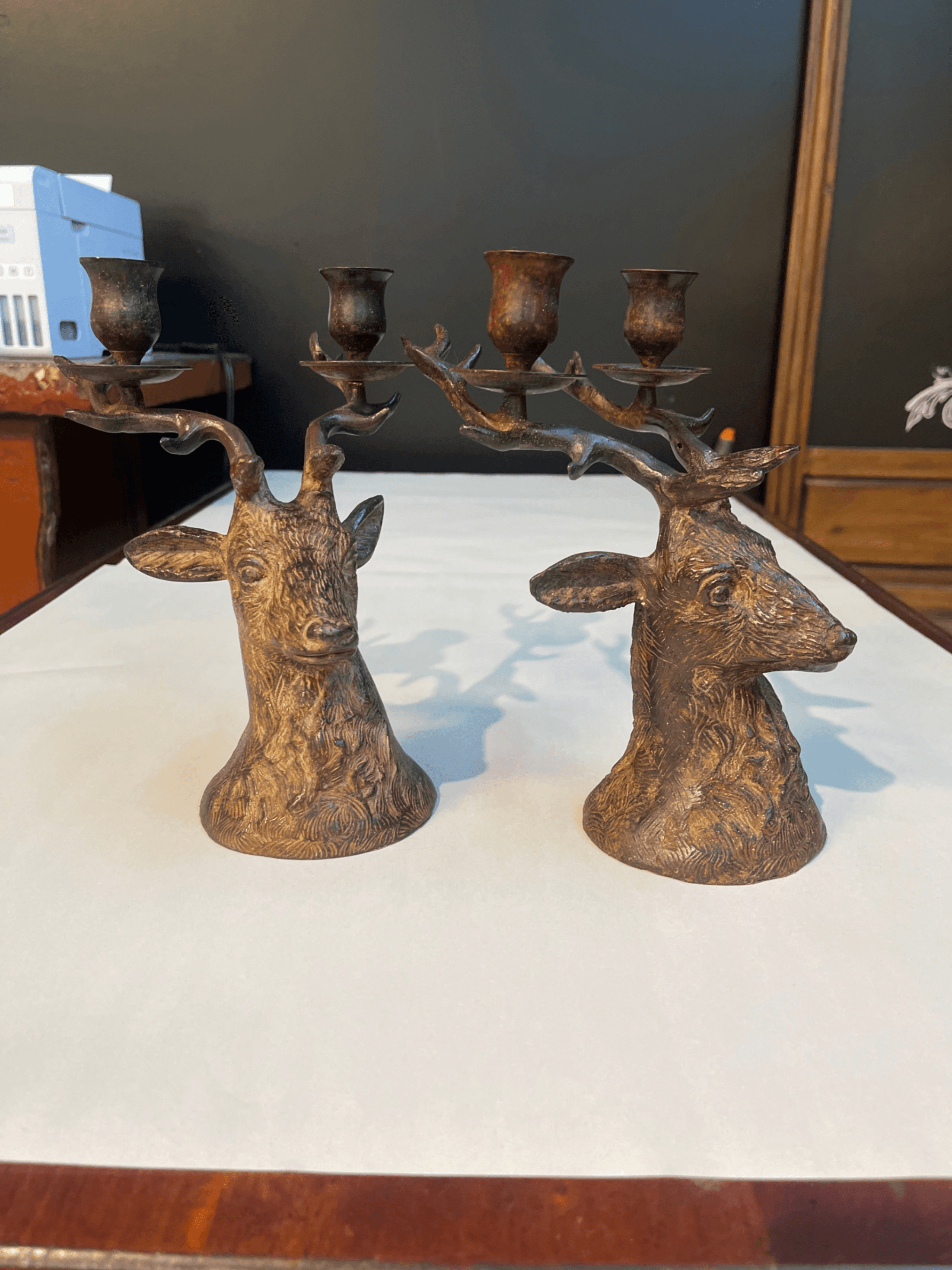 Antler Candle Holders