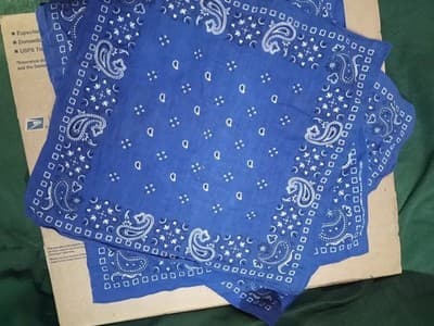 3X, 100% Cotton Blue Paisley Men's Western Bandana Handkerchief RN13960 - Image 1