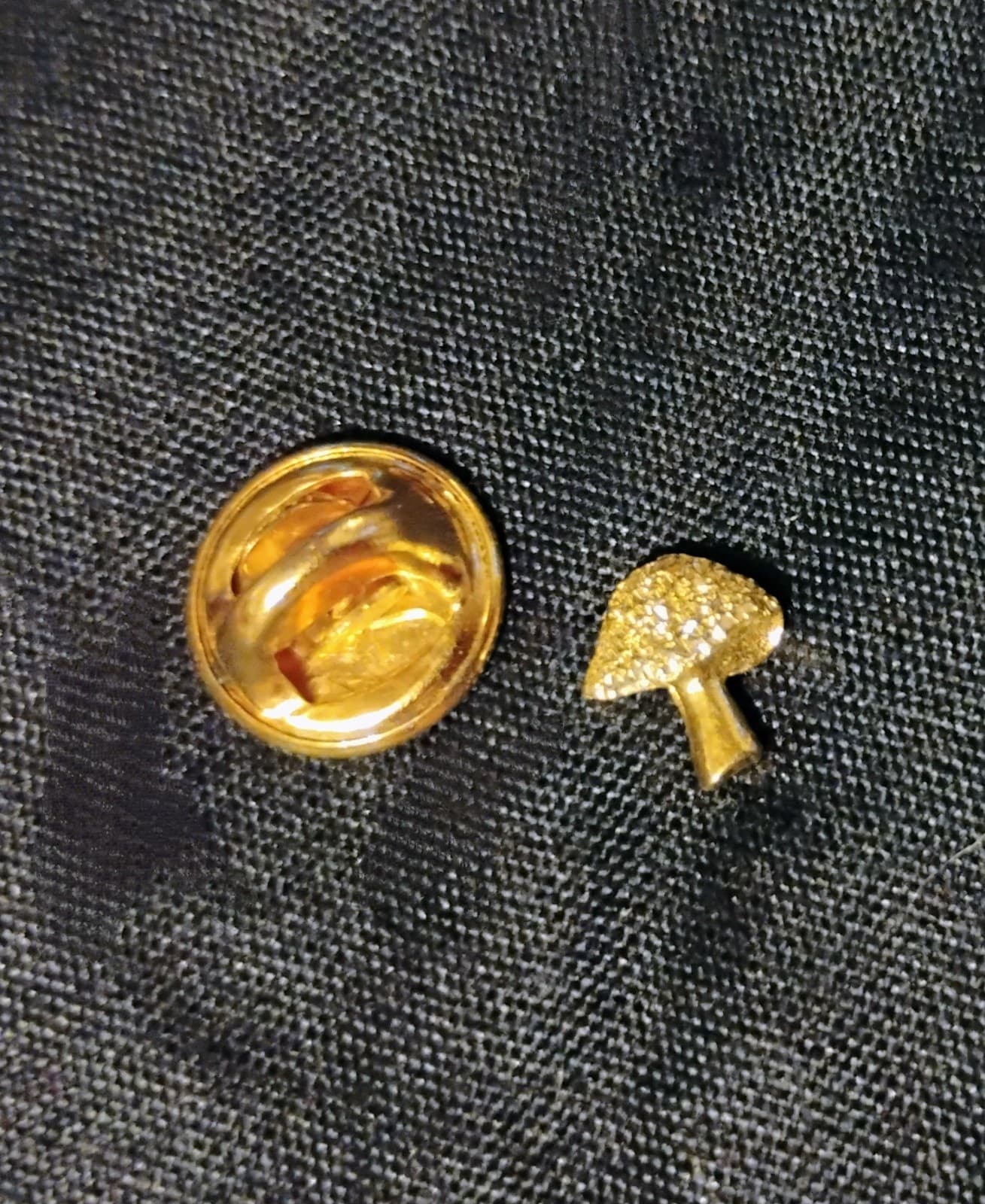 Vintage gold plated mushroom pin/lapel - Image 1