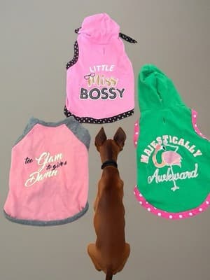 xs dog clothes lot girl - Image 1