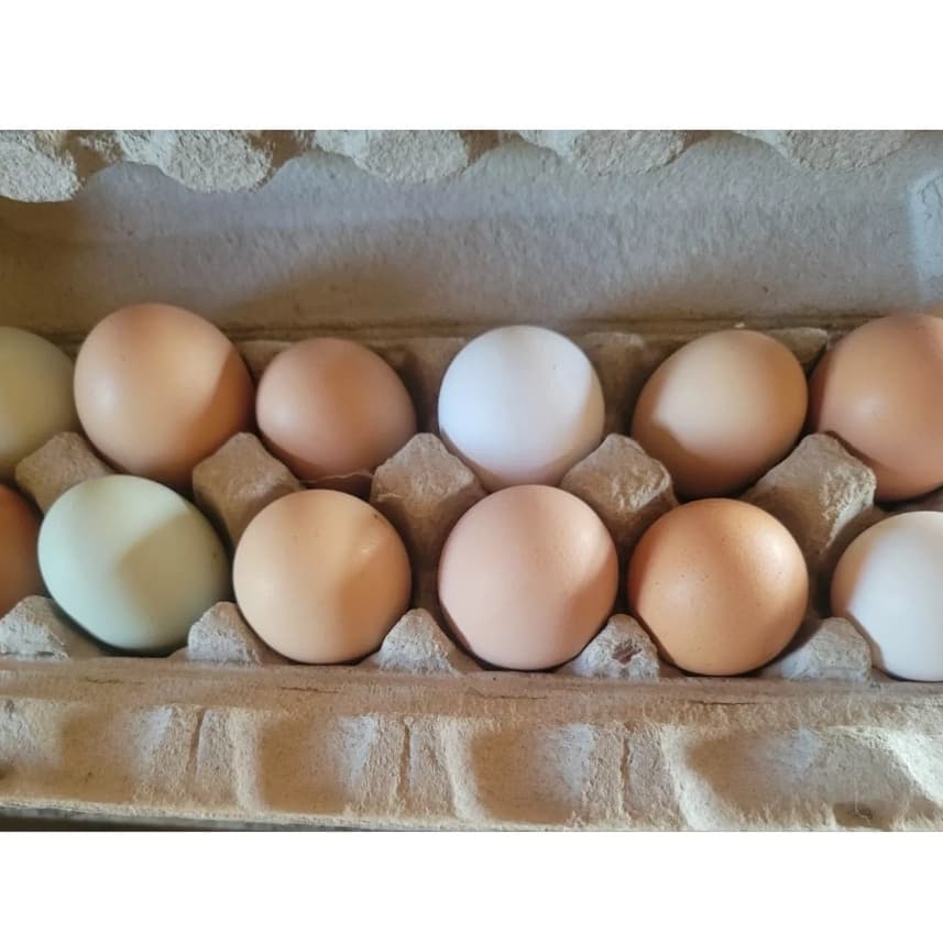Chicken Eggs - 12 Eggs, 6 Eggs - Image 1