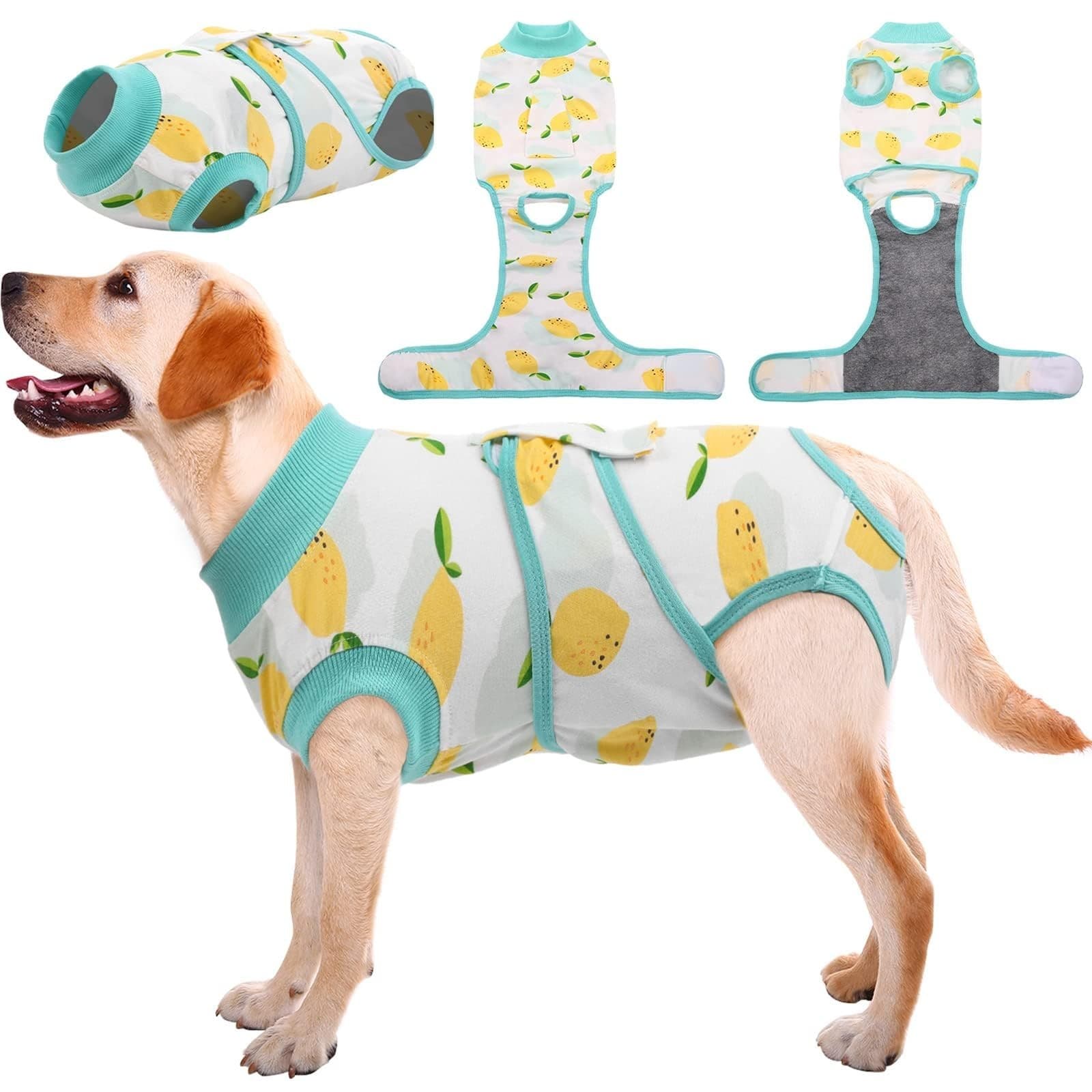 Kuoser Dog & Cat Recovery Suit Post Surgery Shirt E-Collar Alternative - Image 1