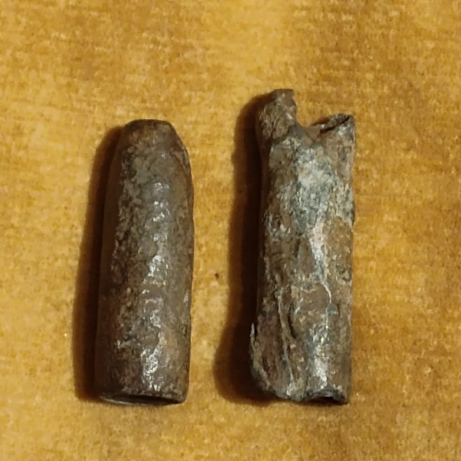 2 Civil War Confederate .45 Caliber Whitworth Shell Relics Bullets