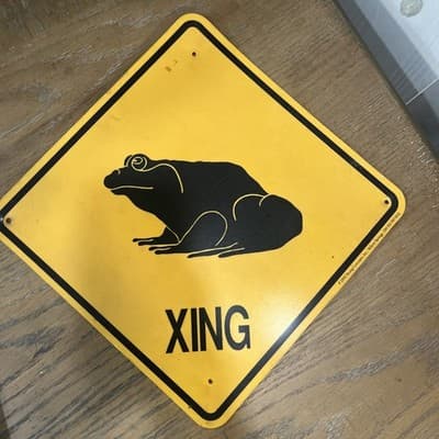 Frog Xing 12" Sign (9x9 SQ) Weatherproof PVC Fence Pond Barn Shed Bullfrog Cute - Image 1