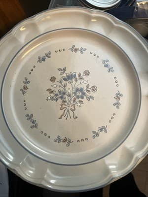 Cordella Collection Stoneware Bluet 10-1/2" Dinner Plates Set Of 2 - Image 1