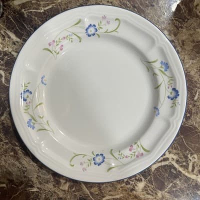 CITATION 7.75 Inch Bread Salad Dessert Plate Shades Crest Pattern Cottage Core - Image 1
