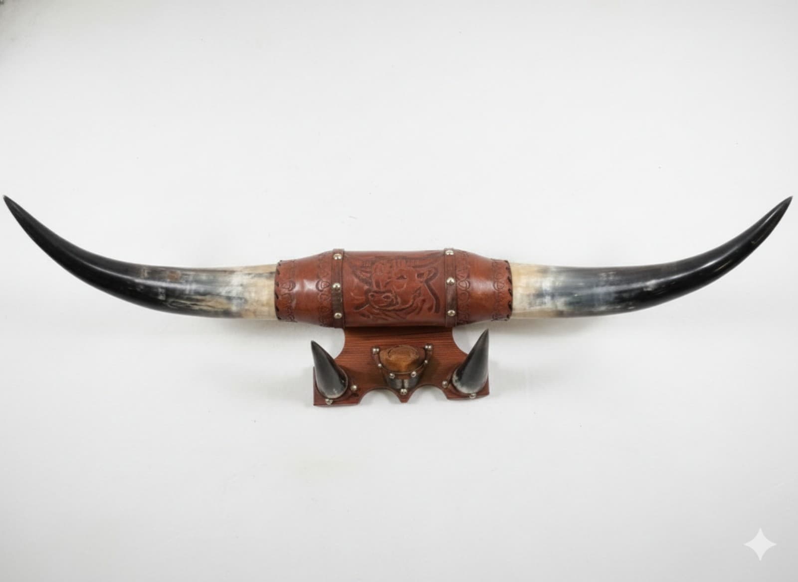 Vintage 34" Mounted Steer Horns - Image 1