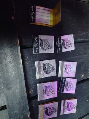 Lot of 9 Vintage Seven Seas Inn Mandan ND Matchbooks Full Unstruck Best Western - Image 1