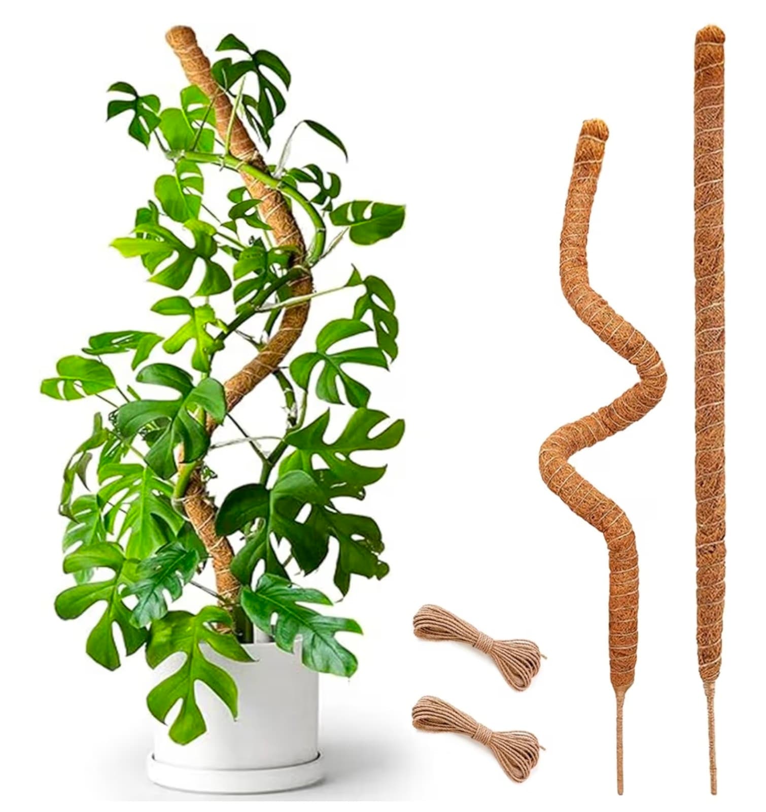 SMoss Poles 2pk 25in each Bendable Moss Pole for Climbing Plants