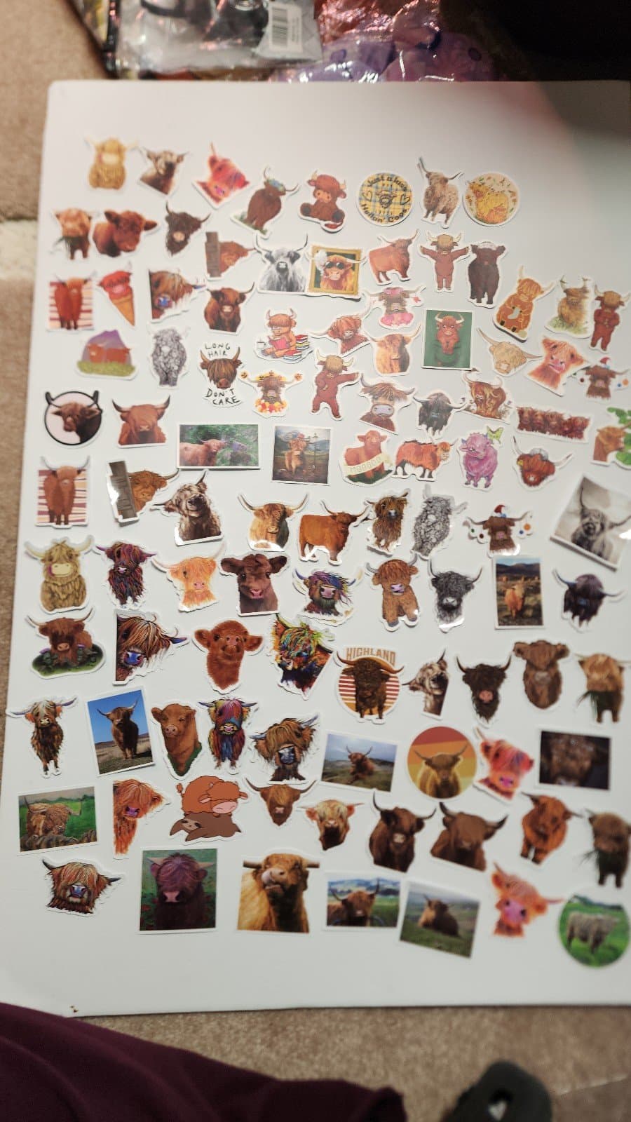 Highland Cow Stickers 100ct