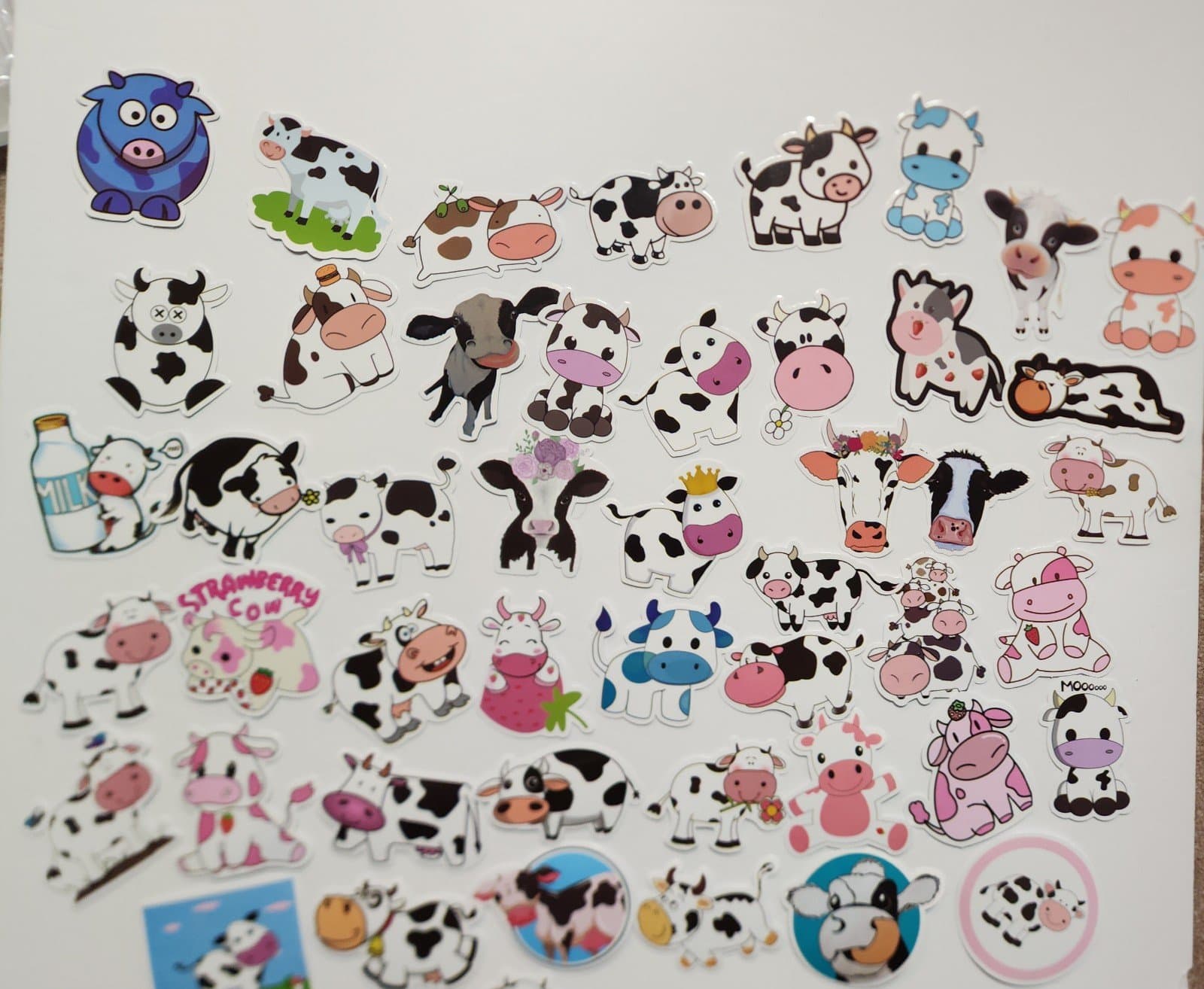 Cow Stickers 50ct