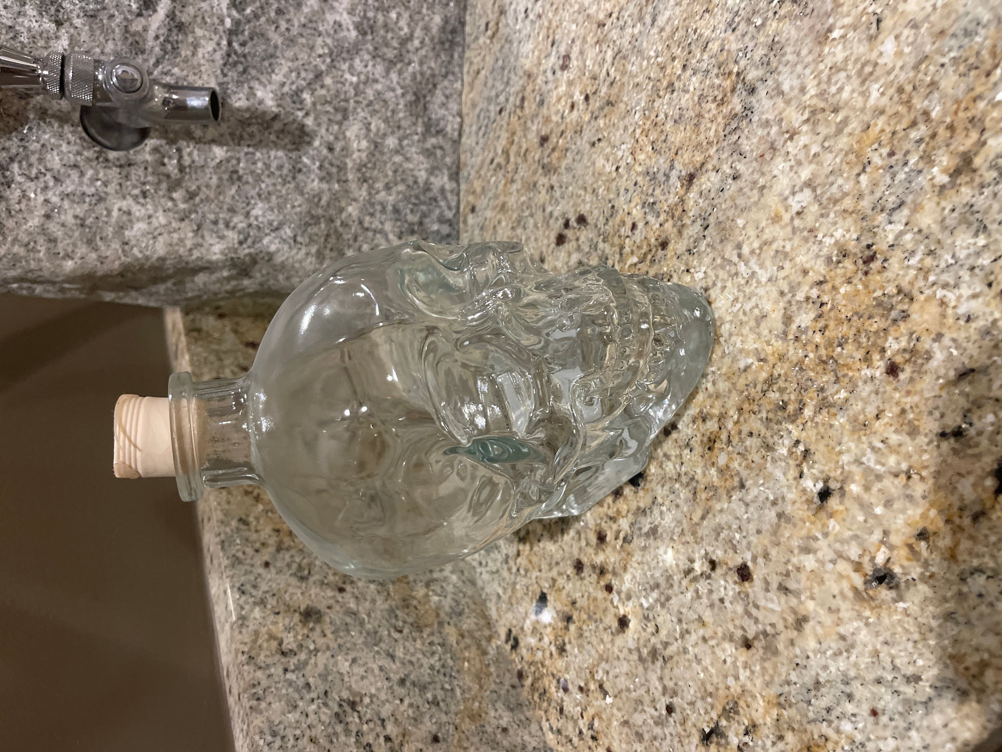 Empty Crystal Head Vodka Bottle - Image 1