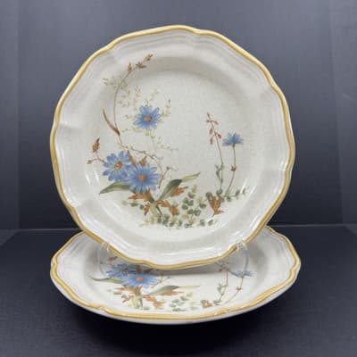 Mikasa Blue Daisies Salad Plate 8” Set Of 2 EB 804 - Image 1