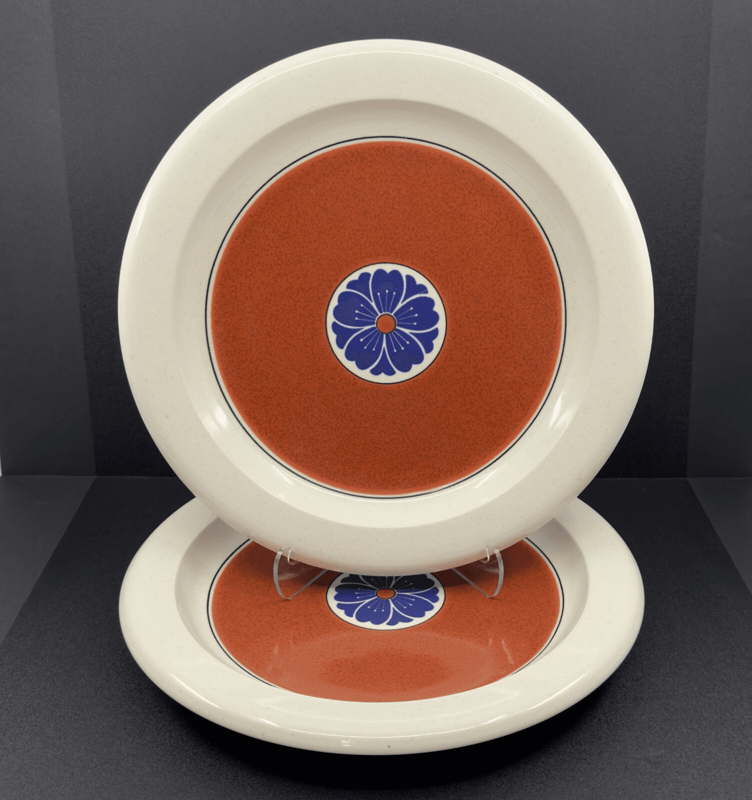 Mikasa Inner Sanctum C-2503 Color Complements 11" Dinner Plates Set of 2 - Image 1