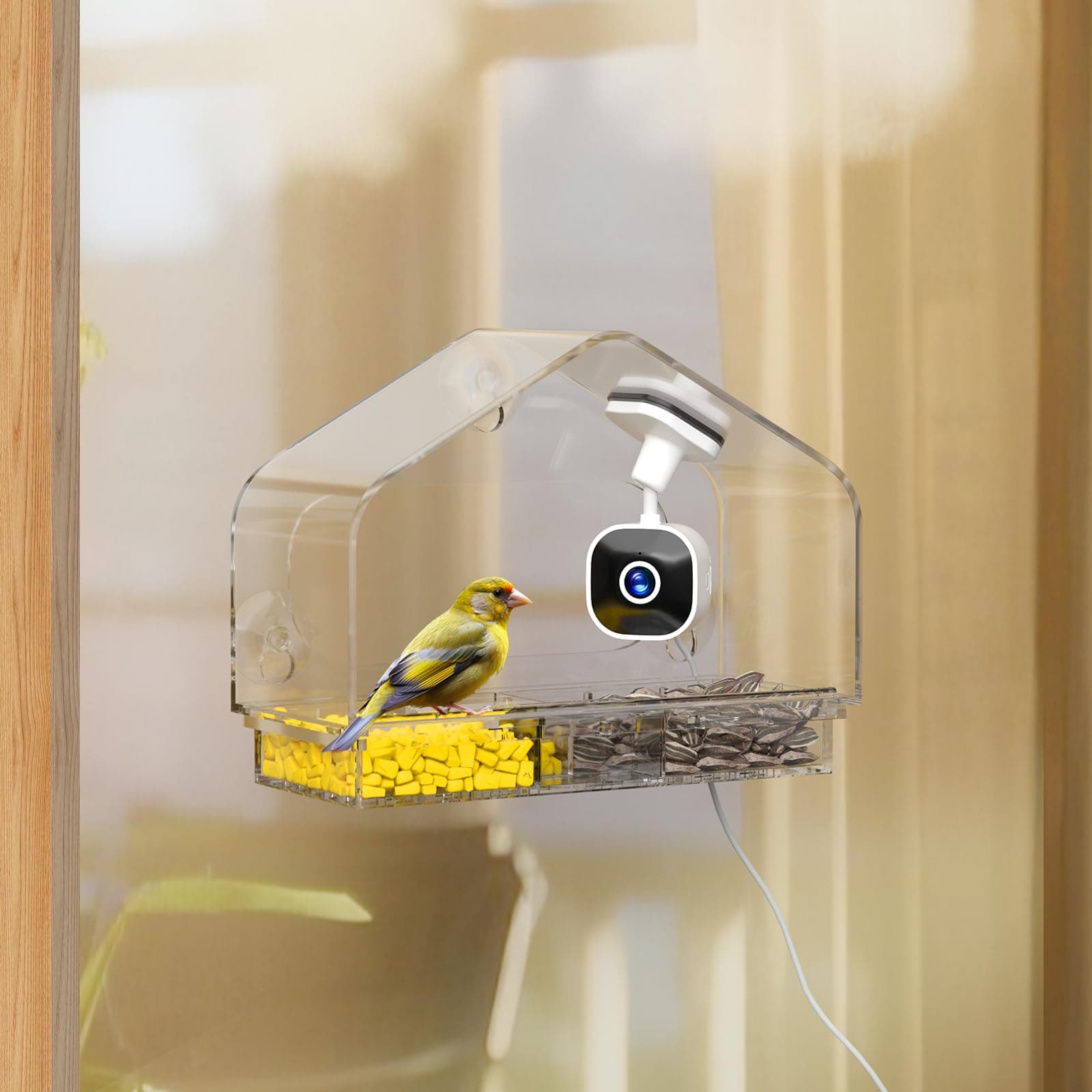 Richbird Smart Window Bird Feeder Camera with AI, Modern Design for Panoramic Vi - Image 1