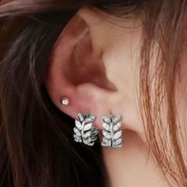 The Eternal Leaf Silver earring’s in 925 and cubic zirconia - Image 1