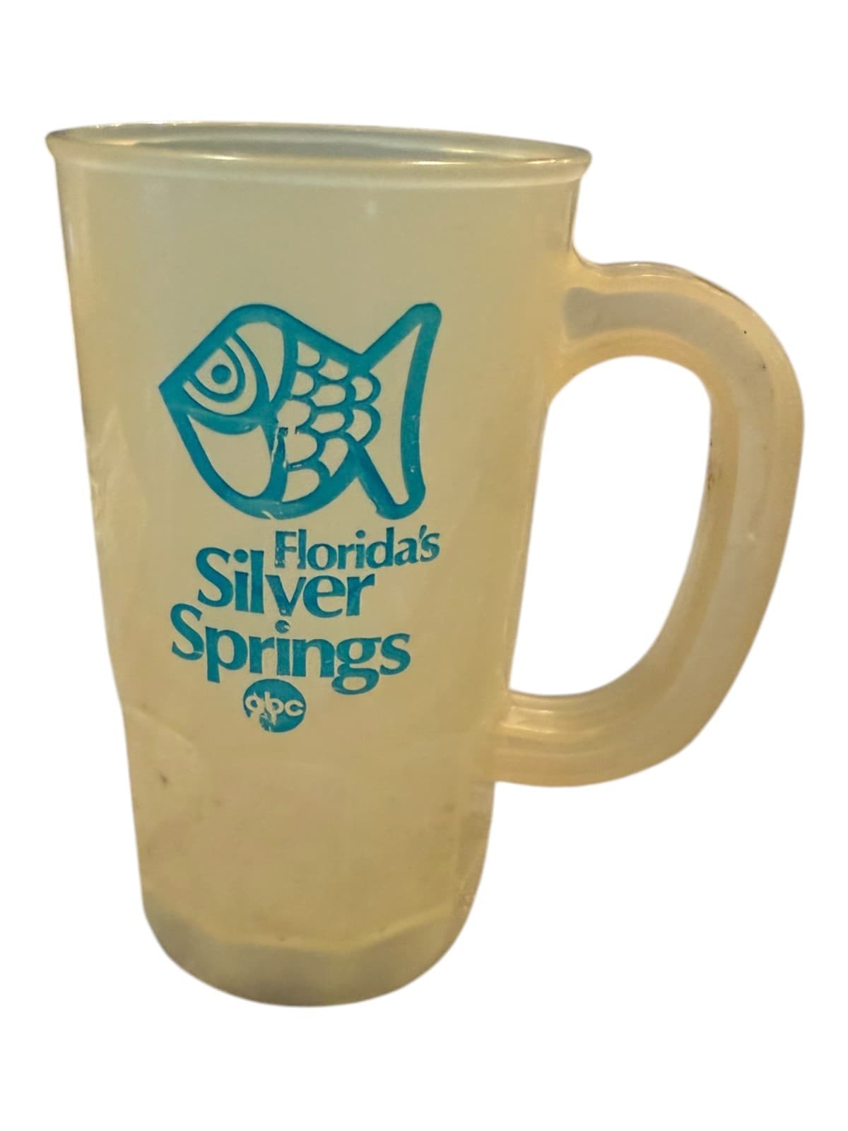 Vintage Florida's Silver Springs ABC Souvenir Frosted Mug Fish Logo - Image 1