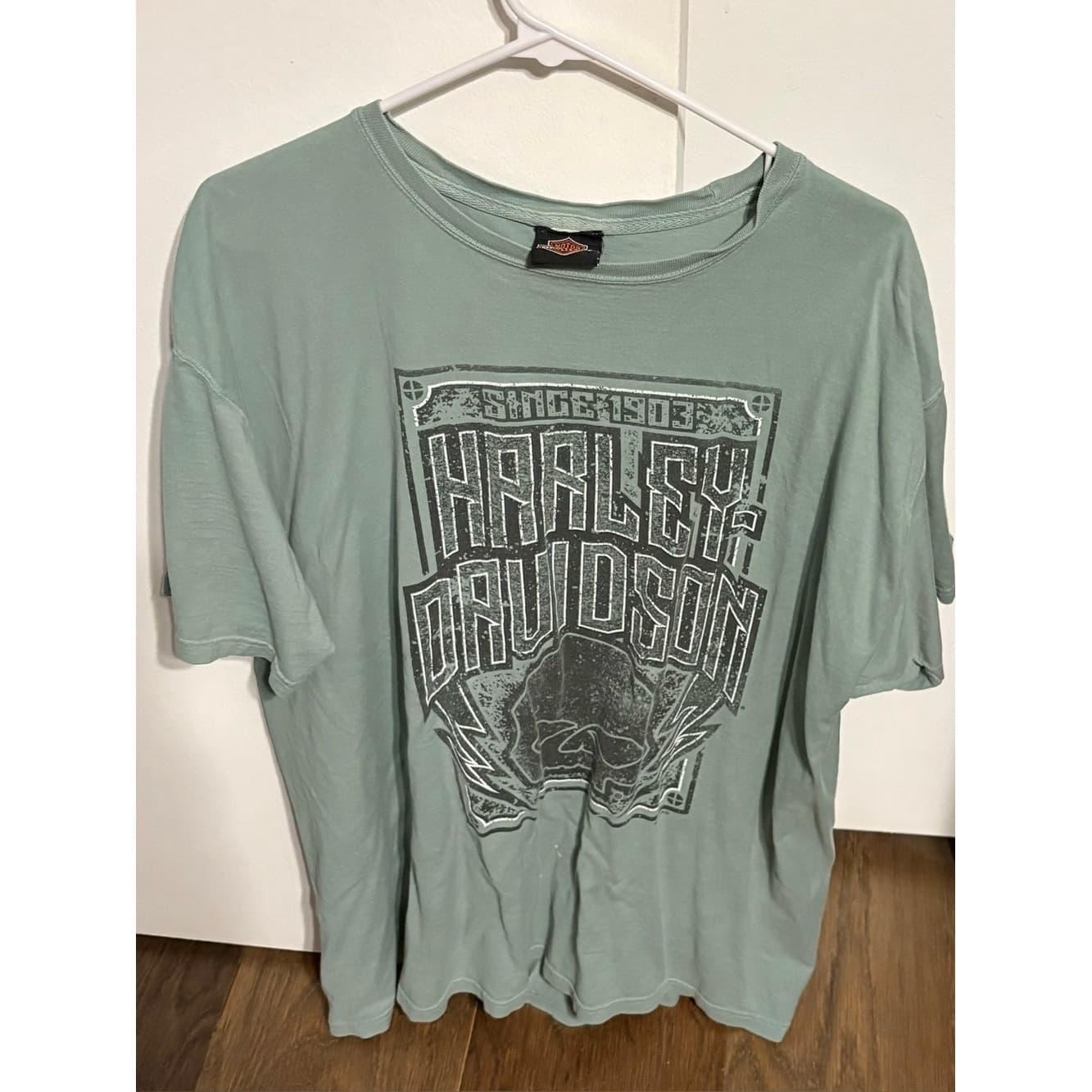 Harley-Davidson Detroit Light Sage Green Graphic Tee - Image 1