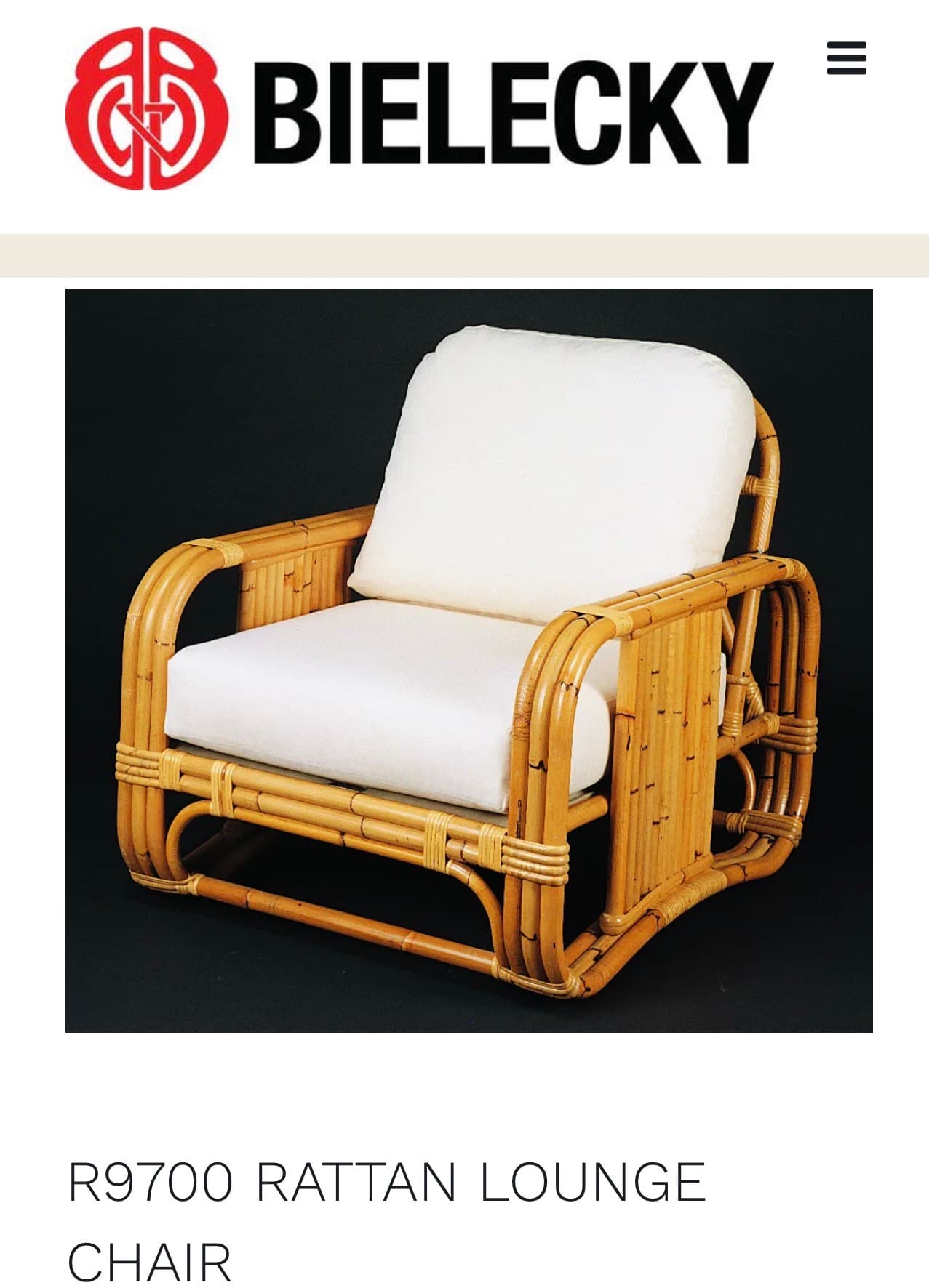 Bielecky R9700 Rattan Lounge Chair - Image 1