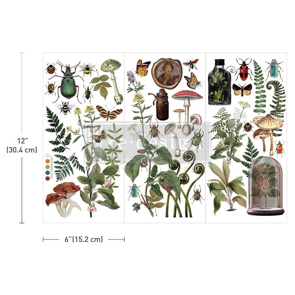 Small Transfers - Botanical Archives - Image 1