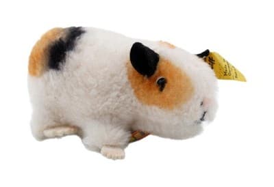 Steiff Swinny Guinea Pig Germany Yellow Tag Button Plush Stuffed Animal Vintage - Image 1