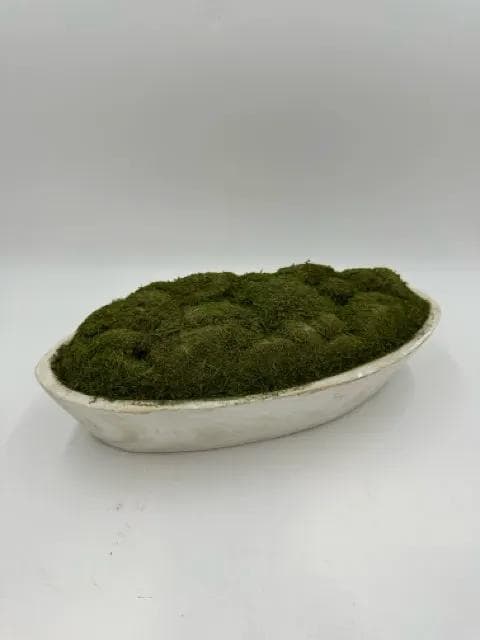 White Oval Planter With Faux Moss - Image 1