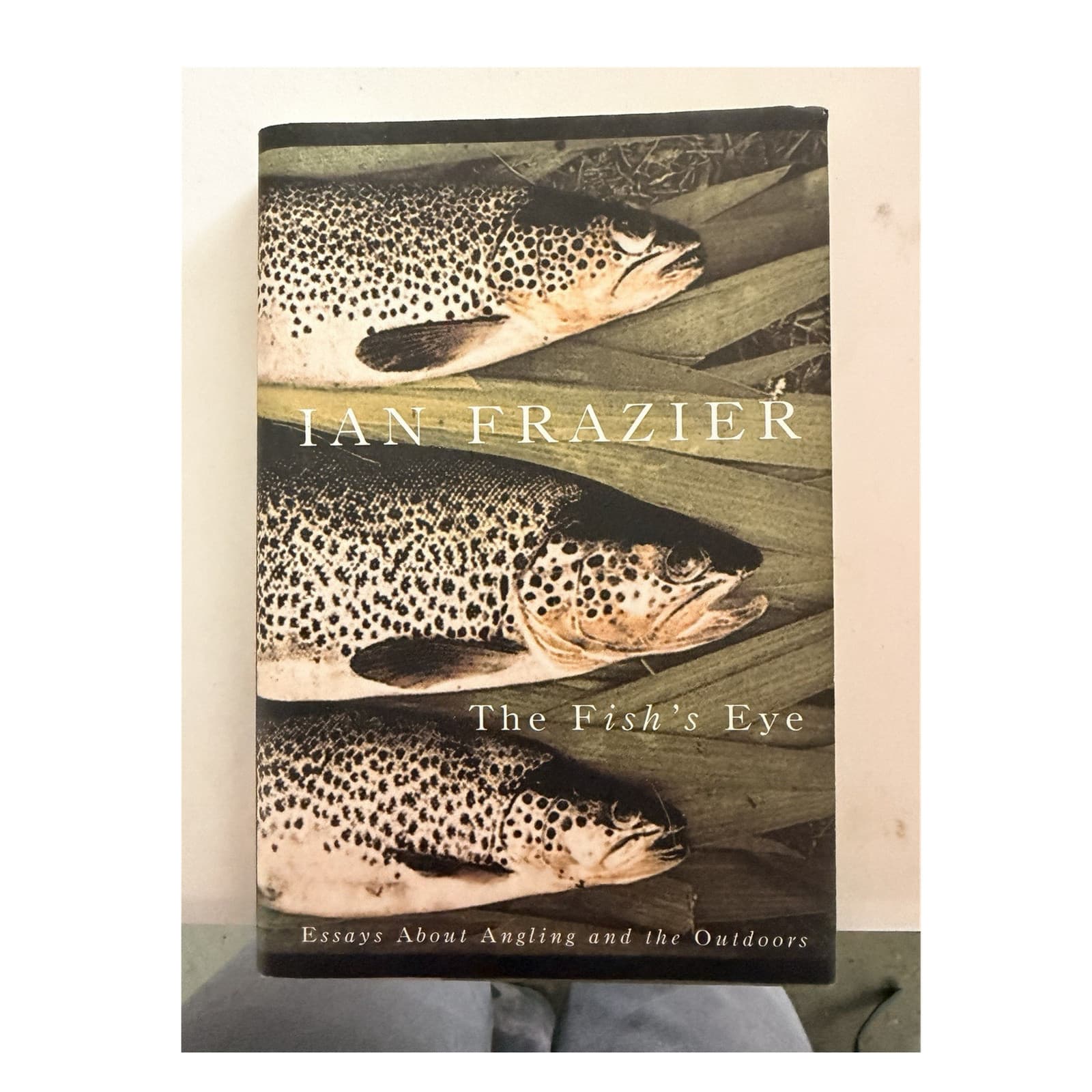 Ian Frazier The Fish's Eye Hardcover 1st Ed Farrar Straus Giroux 2002 w/ Dust J…